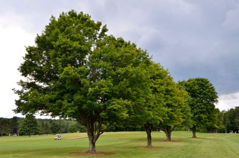Golf Venango Valley Inn and Golf Course Golf Venango Valley Inn and Golf Course