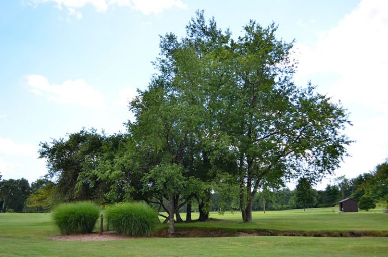 Golf Venango Valley Inn and Golf Course Golf Venango Valley Inn and Golf Course